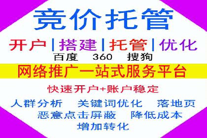 SEM竞价优化案例：品牌曝光与转化双提升